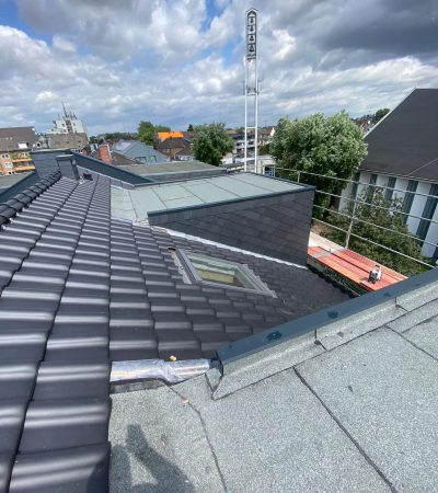 Dachgauben_Flachdächer_Dachfenser