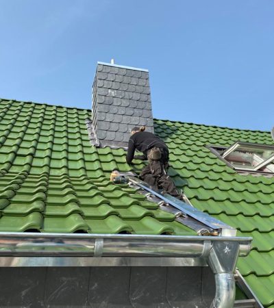 Grünes_Dach_energetische_Sanierung_Rückseite-min