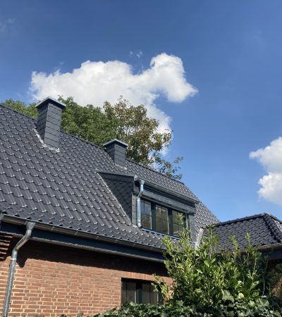 Dachsanierung_Dachgaube_Kamin